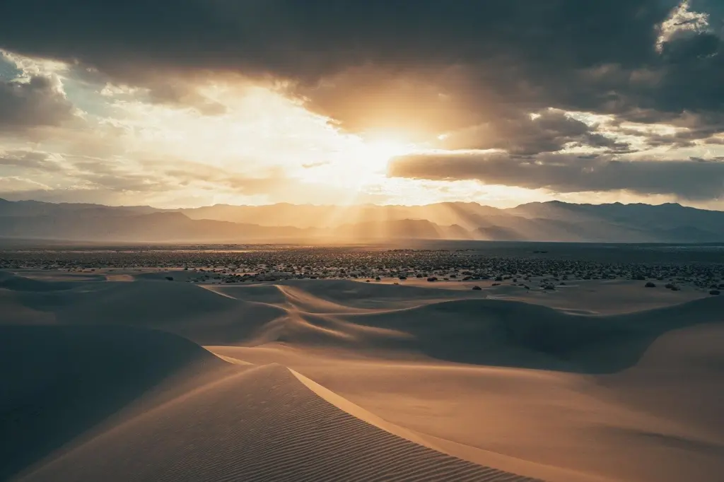 تفسير حلم موت شخص حي والبكاء عليه